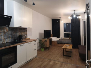 Apilois Apartament in Danzig